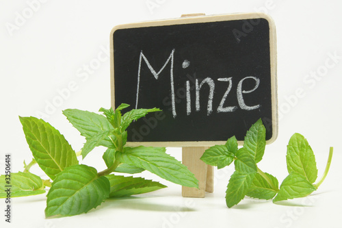 Foto: minze minze