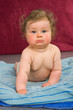 Foto: baby is looking in to the camera baby is looking in to the camera