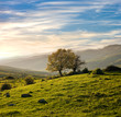 Country Landscape In A Spring Sunset Country Landscape In A Spring Sunset