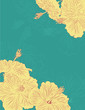 Hand drawn Hibiscus flower page layout Hand drawn Hibiscus flower page layout