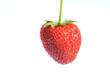 Fragola