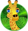 giraffe cartoon giraffe cartoon