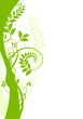 liane vecteur vert, floral design vectoriel - vector art