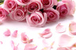 laying down Red Rose & Petals