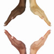 human hands as symbol of ethnical diversity