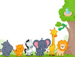 Animal Kingdom Animal Kingdom
