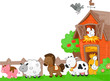 Farm Animals Farm Animals