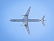 plane in the sky