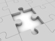 Puzzle with missing piece