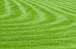 a huge green lawn