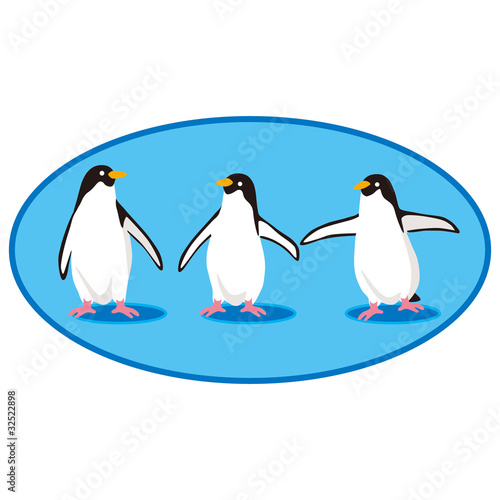 Vector: penguin penguin