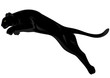 panther jumping