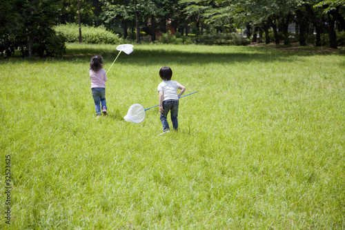 写真: 虫取りする子供たち点 虫取りする子供たち
