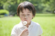 綿毛を飛ばす子供