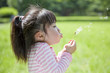 綿毛を飛ばす子供