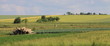 Paysage vosgien