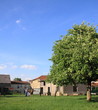 Verger de campagne