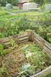 Foto: Compost bin in a vegetable garden with red currant bushes Compost bin in a vegetable garden with red currant bushes