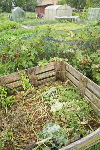 Photo: Compost bin in a vegetable garden with red currant bushes Compost bin in a vegetable garden with red currant bushes