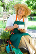 Ruhen im Garten
