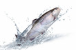 Fische 135