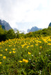 ����: Mountains and yellow flowers � konikaori #32533899