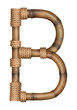 Photo: One letter of bamboo alphabet One letter of bamboo alphabet