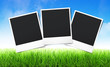 Photo: cadre photo nature cadre photo nature