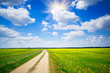 Countryside road and golden field of rapeseeds.