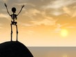 Skeleton climber on top of rock