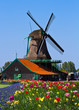 Foto: windmill in holland windmill in holland