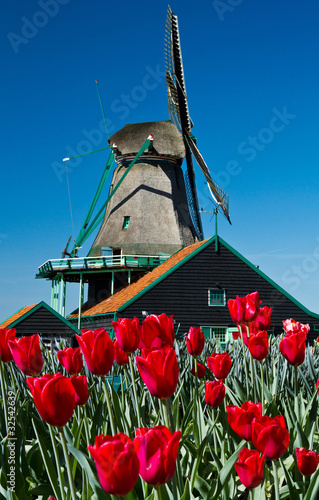 Photo: windmill in holland windmill in holland