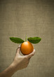 Photo: Freash natural orange with leaves Freash natural orange with leaves