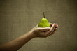 Photo: Green pear in female hands Green pear in female hands