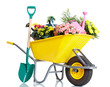 Gardening Gardening