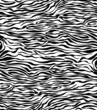 vector abstract skin texture of zebra