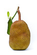 jack fruit on white background