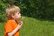 Boy blowing dandelion