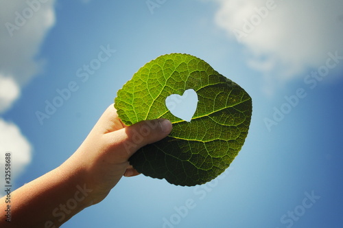 Photo: green green