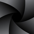 diaphragm