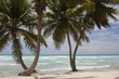 Photo: Tropical Paradise at caribbean Tropical Paradise at caribbean