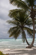 Photo: Tropical Paradise at caribbean Tropical Paradise at caribbean