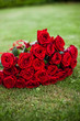 rote Rosen