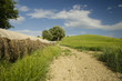 Toscana