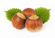 hazelnuts with leaves