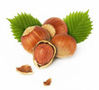 hazelnuts with leaves