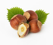 hazelnuts with leaves