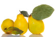 Quince