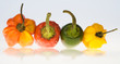 Paprikas