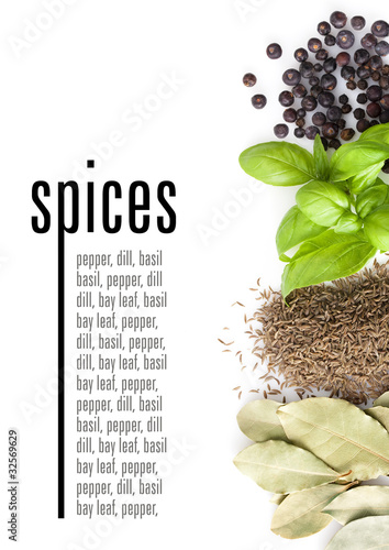 Photo: Spices on white background. With sample text Spices on white background. With sample text